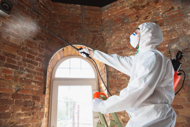 Surfside Beach, SC Mold Removal Services Company