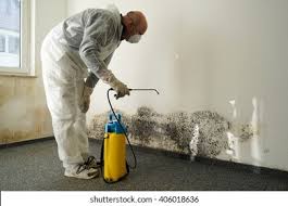 Best Black Mold Removal  in Surfside Beach, SC